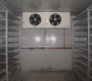 擱架式速凍冷庫(kù)