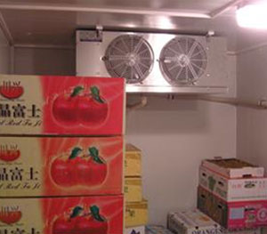 水果保鮮冷庫(kù)